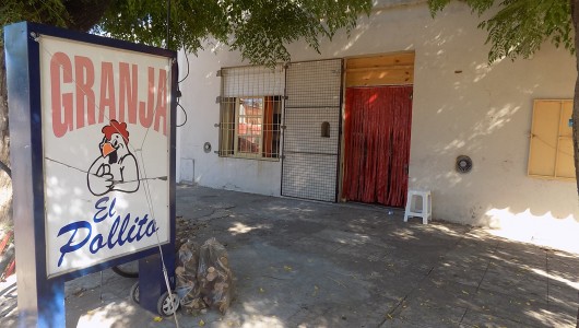 Granja El Pollito