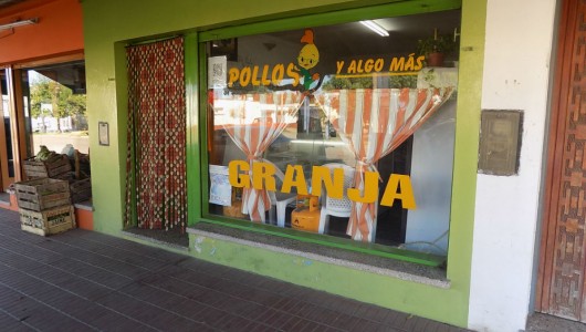 Pollo y Algo Más